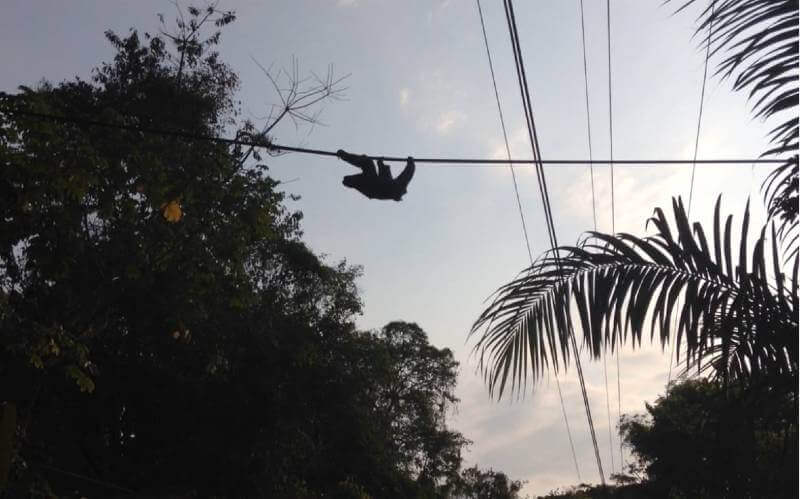 Dünyadan Umutlu Haberler | Mart