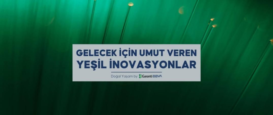 Gelecek İçin Umut Veren Yeşil İnovasyonlar