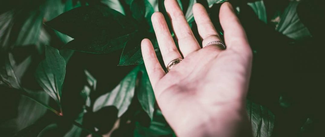 André Gorz ve Politik Ekoloji