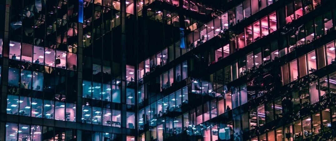 Işık Kirliliği Yüzünden Milyonlarca Kuş Hayatını Kaybediyor!