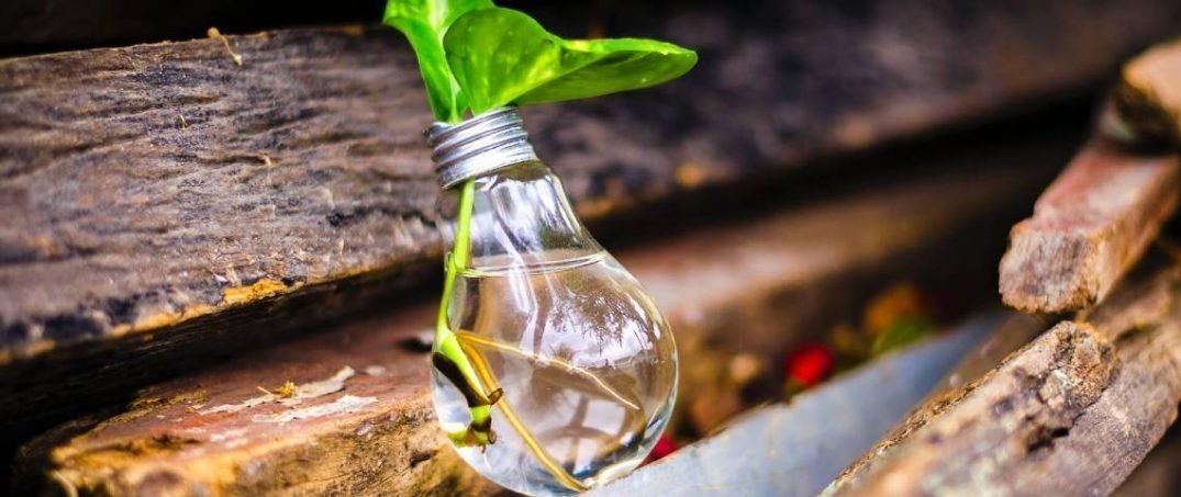 Ekoloji Karşıtlığı ile Başa Çıkma Rehberi