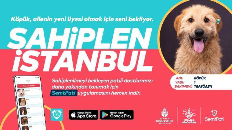 İBB’den Sahiplen İstanbul Projesi