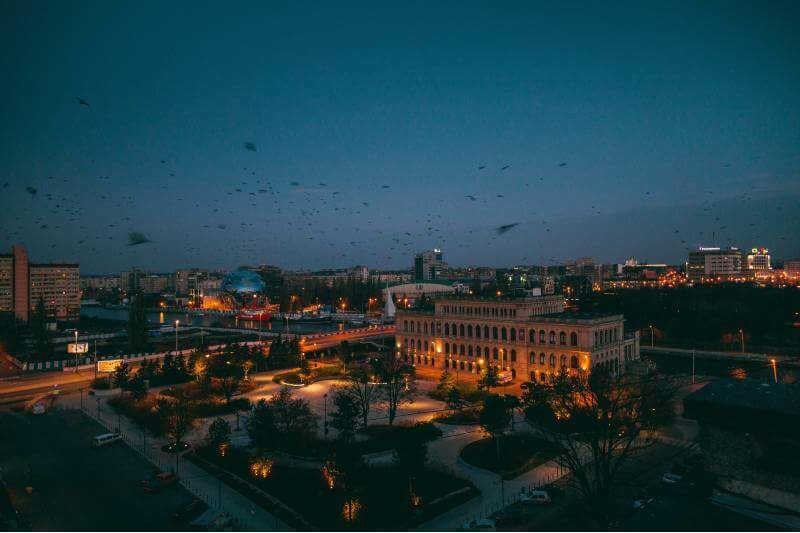 Işık Kirliliği Yüzünden Milyonlarca Kuş Hayatını Kaybediyor!