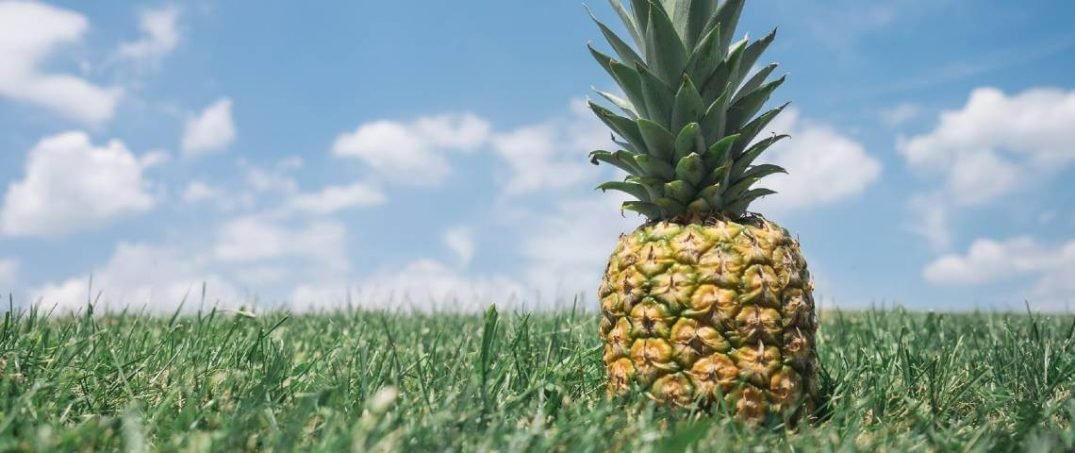 Permakültür Nedir, Nasıl Yapılır?