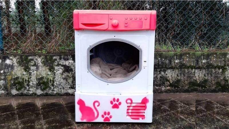 Sokak Hayvanları İçin İleri Dönüşüm Fikirleri