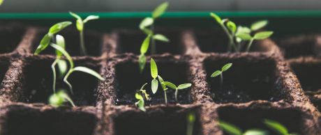 Türkiye’den Sürdürülebilirlik Haberleri