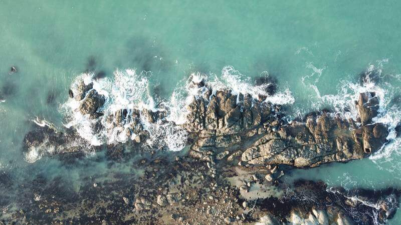 Doğada Yaşam Marina