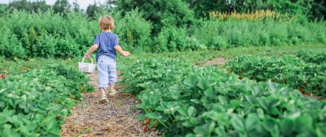 İstanbul'un En İyi Hobi Bahçeleri - 2023