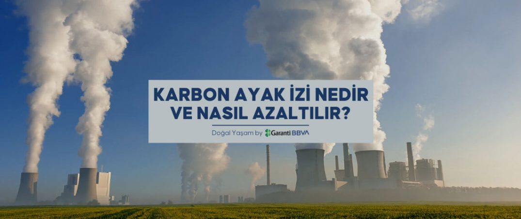 Karbon Ayak İzi Nedir ve Nasıl Azaltılır?