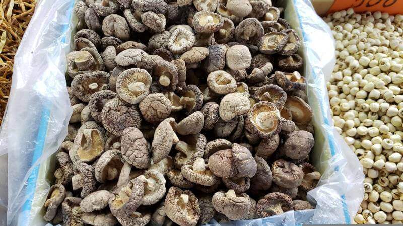 Şitaki (Shiitake Mantarı) Nedir, Faydaları Nelerdir, Nasıl Kullanılır?