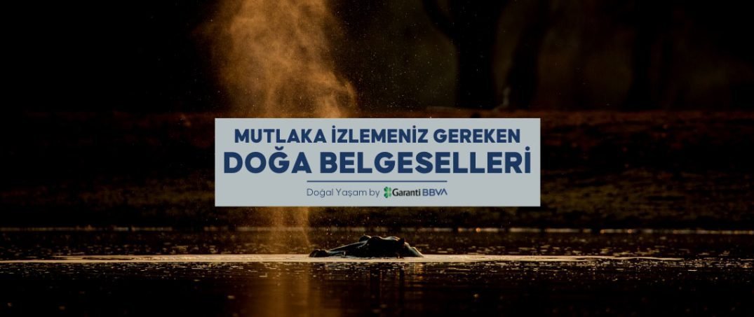 En İyi Doğa Belgeselleri
