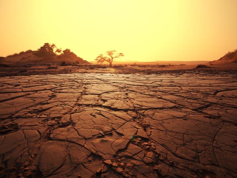 Kuraklık Sonuçları