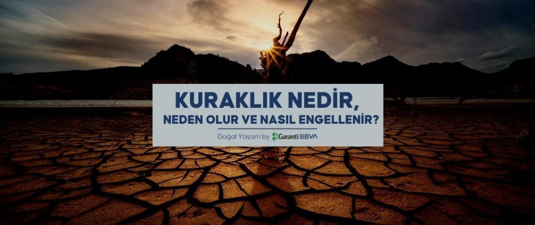 Kuraklık Nedir, Neden Olur ve Nasıl Engellenir?
