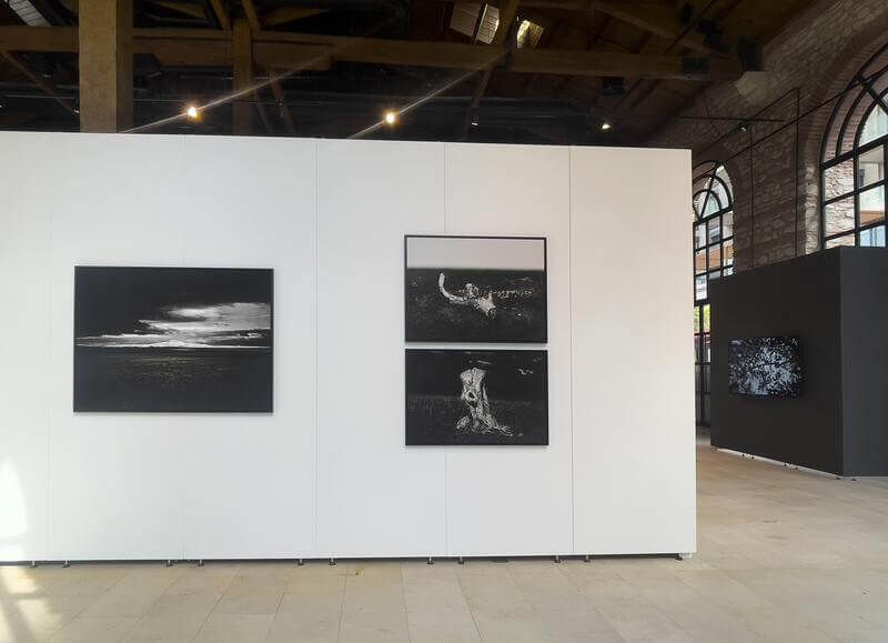 Dünyanın Gecesi Sergisi