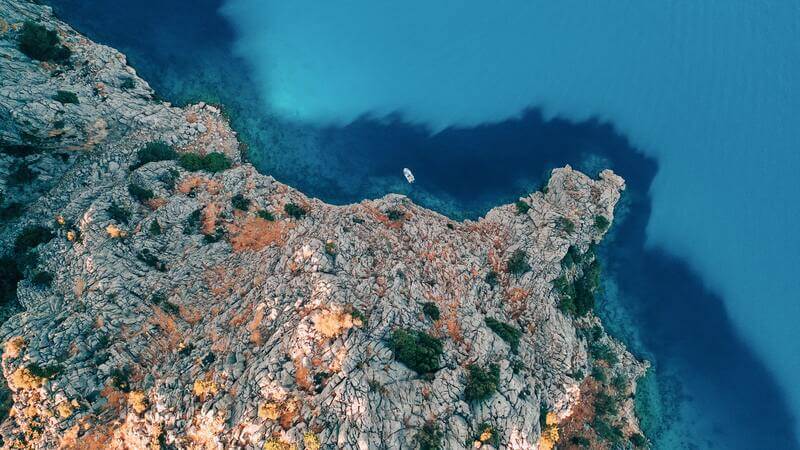Mavi Karbon Nedir, Neden Önemlidir?
