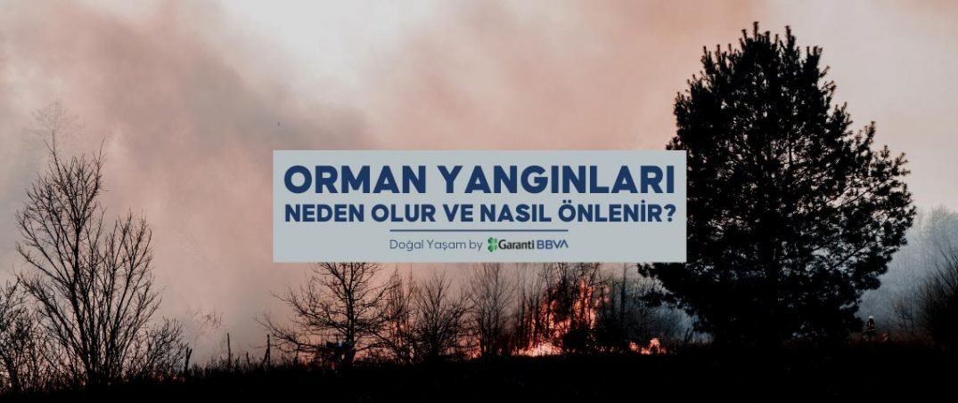 orman yangınları