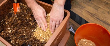 Solucan Gübreciliği Nasıl Yapılır? Nasıl Satılır?