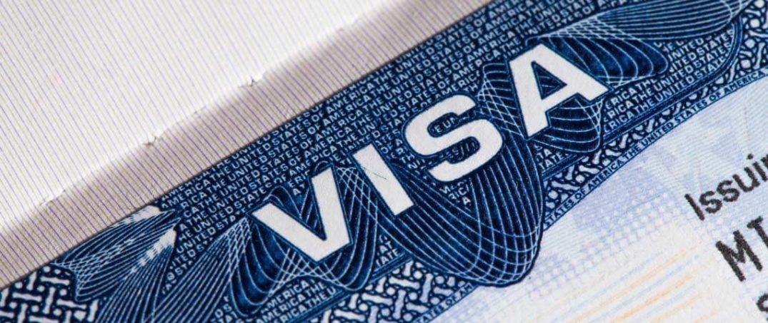 Vize Çeşitleri Nelerdir?