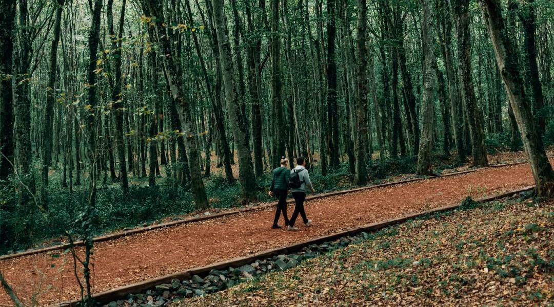 İstanbul Trekking: Belgrad Ormanı
