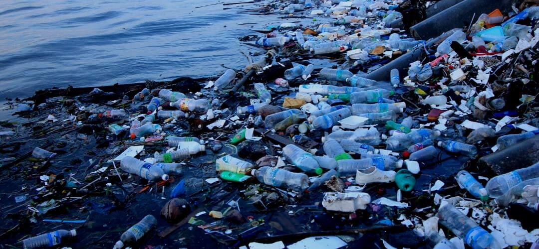 Pasifik Çöp Adası Hakkında Bilgiler