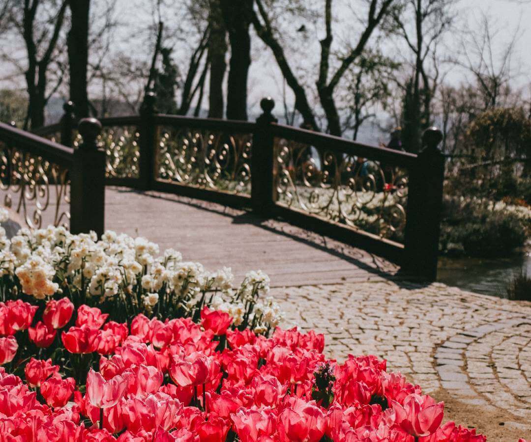 İstanbul Trekking: Emirgan Korusu