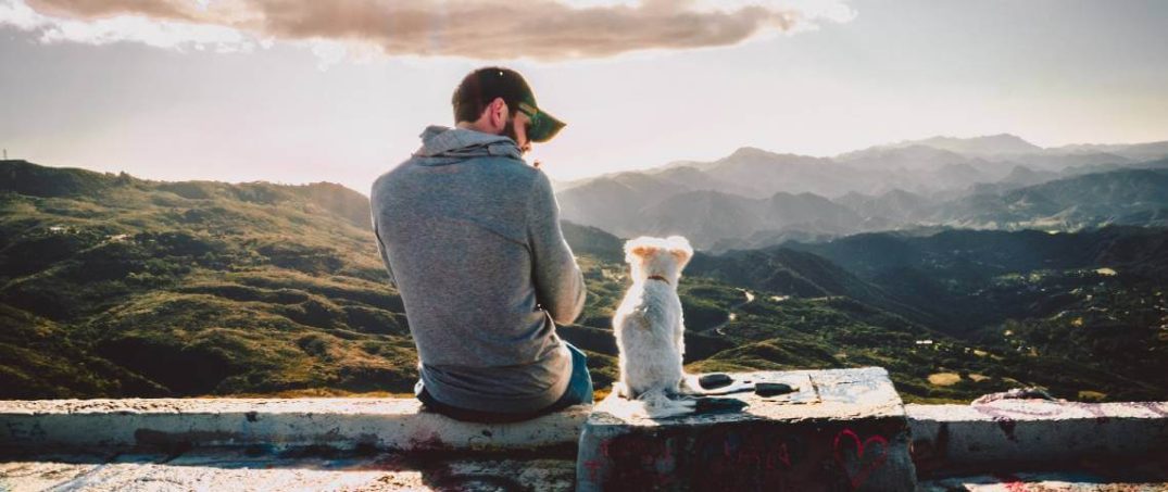 Evcil Hayvan İle Uçak Yolculuğunda Nelere Dikkat Edilmeli?