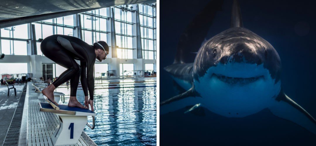 Biyomimikri Nedir? Gerçek Hayattan Biyomimikri Örnekleri