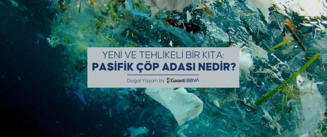 Yeni ve Tehlikeli Bir Kıta: Pasifik Çöp Adası Nedir?