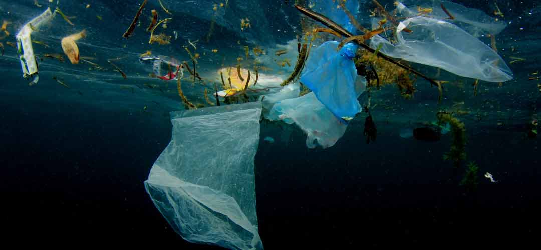 Plastik Adası Nelerden Oluşuyor