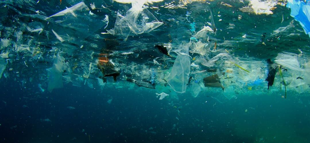 Pasifik Çöp Adası