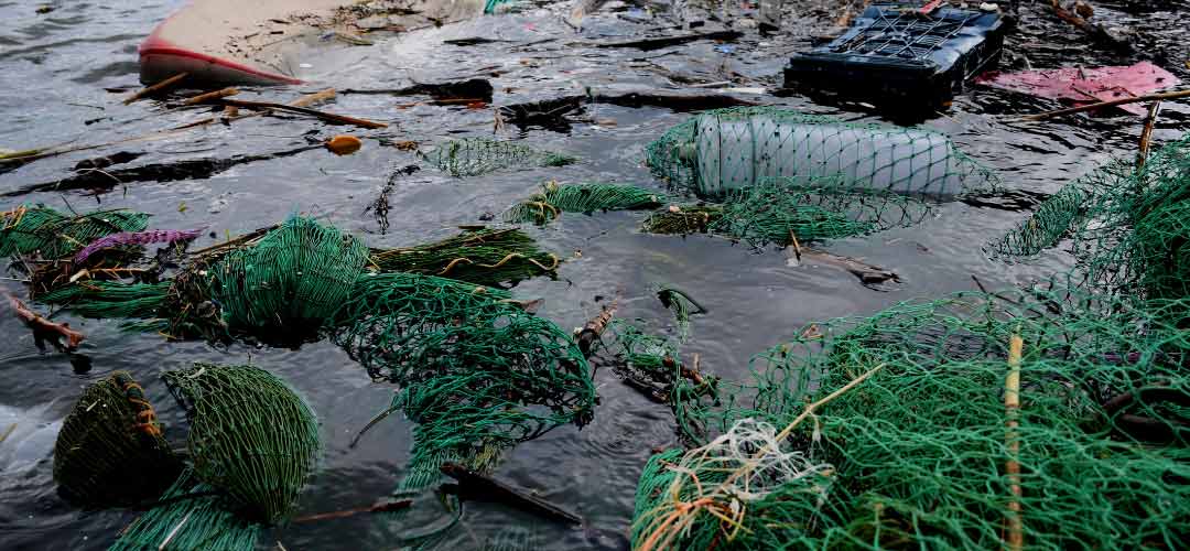 Çöp Adası Büyüklüğü