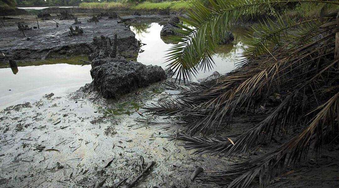 petrol sızıntıları sonuçları