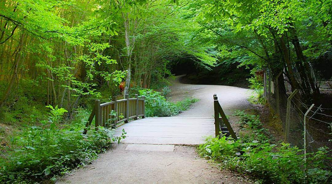 İstanbul Trekking: Polonezköy Tabiat Parkı