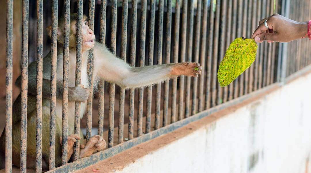 Çemberin Neresindesiniz?