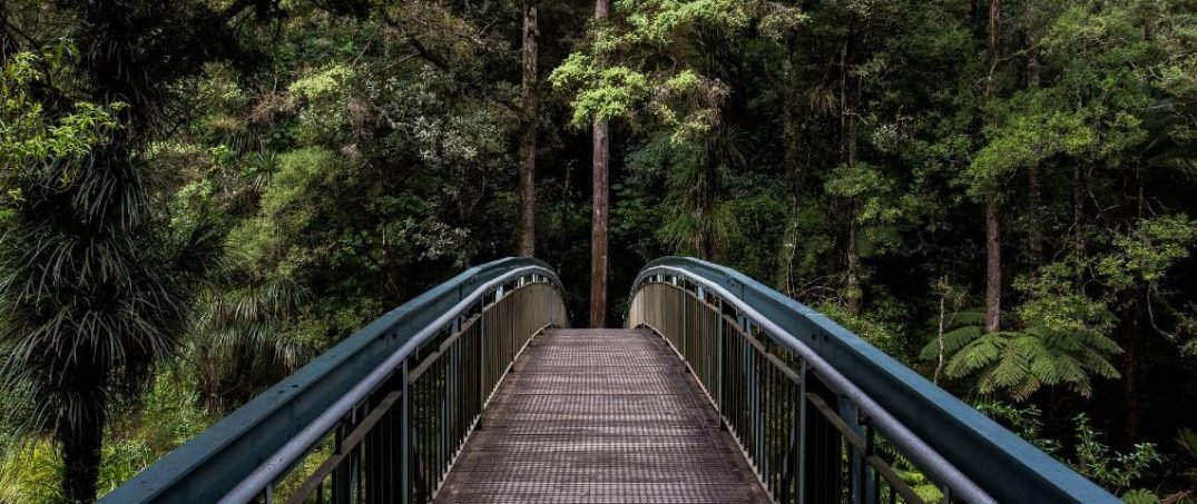 Anadolu Efes’in 13. Sürdürülebilirlik Raporu Yayımlandı!