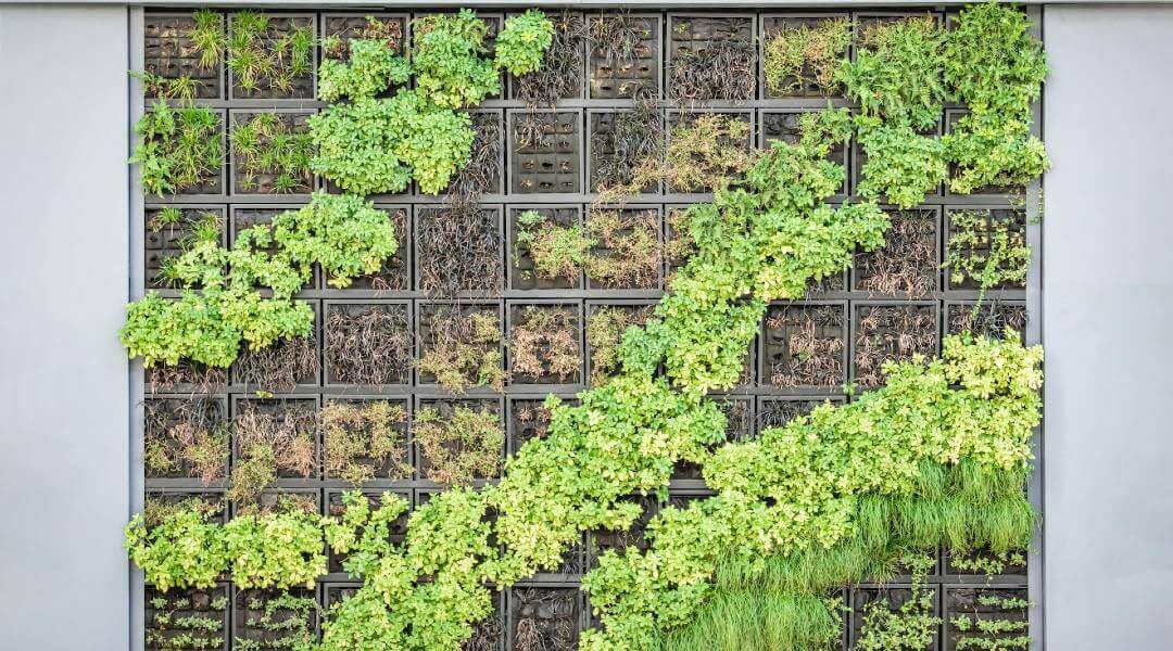 Küçük Alanlarda Nasıl Bitki Yetiştirilir?