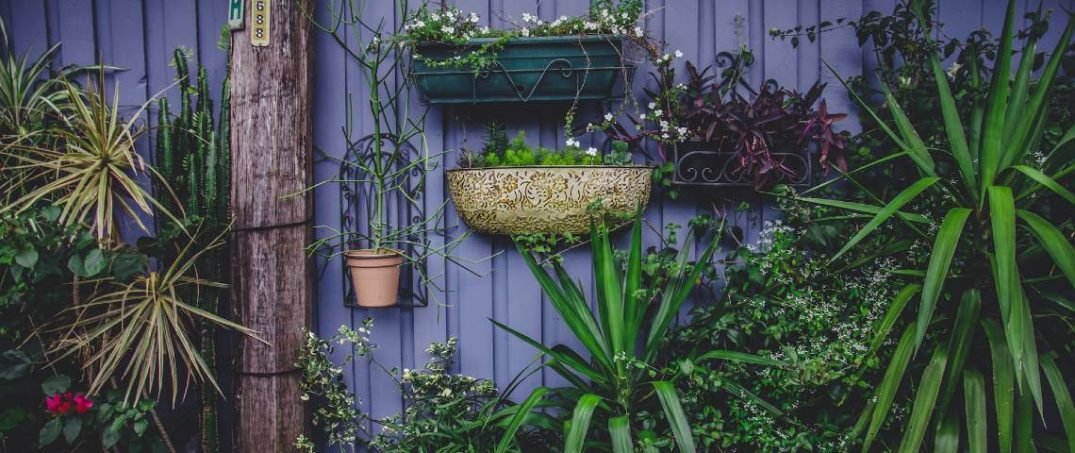 Küçük Alanlarda Nasıl Bitki Yetiştirilir?