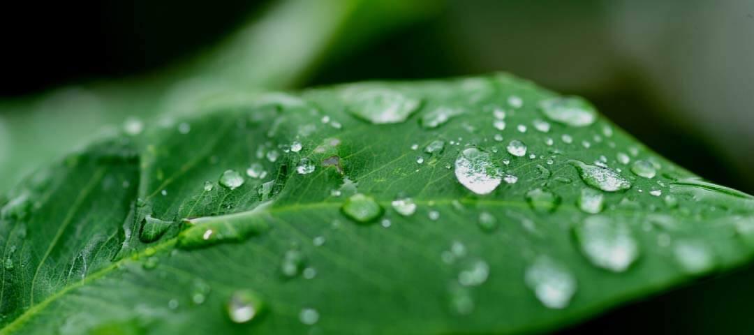 Su Döngüsü Aşamaları