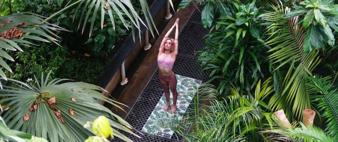 Güne İyi Başlamak İçin Basit Yoga Hareketleri