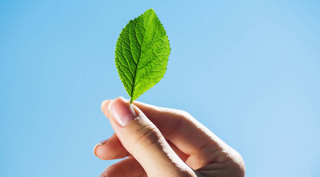 5 Soruda Güneş Enerjisi Nedir?