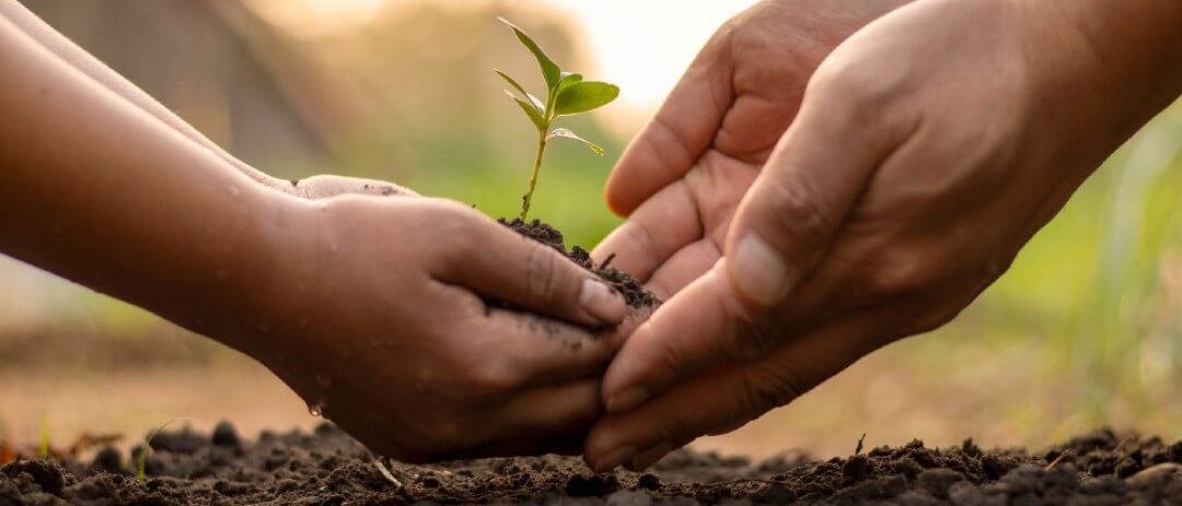 Hava Kirliliği Nedir, Neden Olur, Nasıl Önlenir?