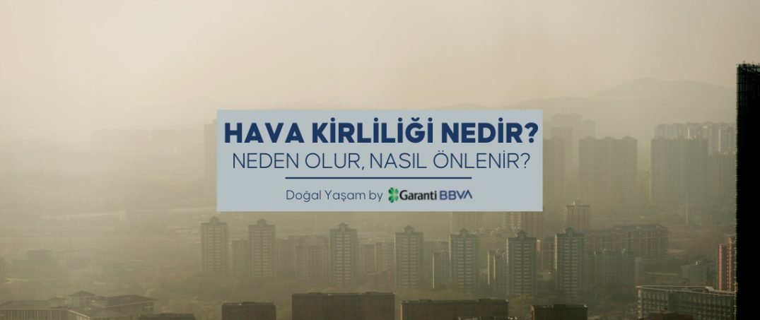 Hava Kirliliği Nedir, Neden Olur, Nasıl Önlenir?