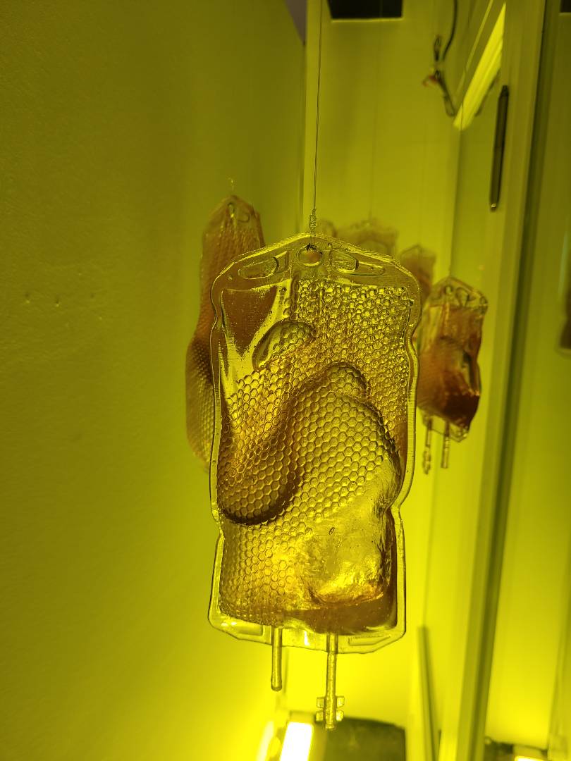 Bir Hayal Kırıklığından Doğan Sergi