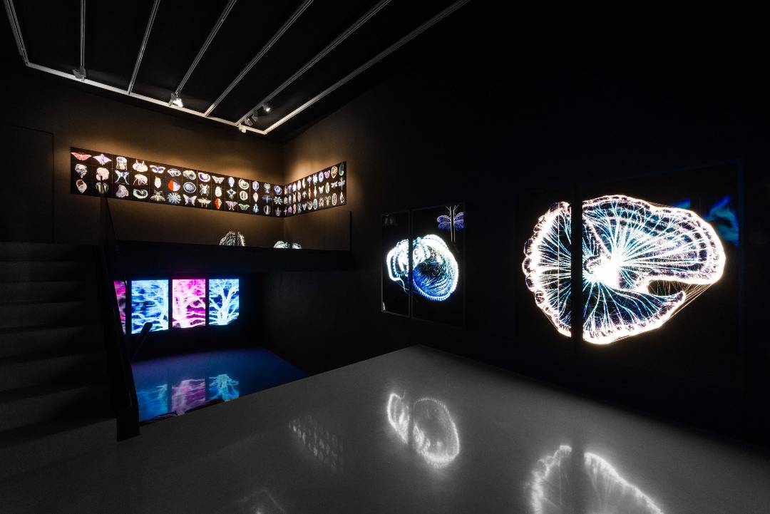 Arura Sergisi | Art On