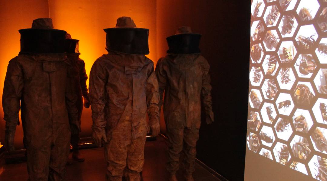 Bir Hayal Kırıklığından Doğan Sergi