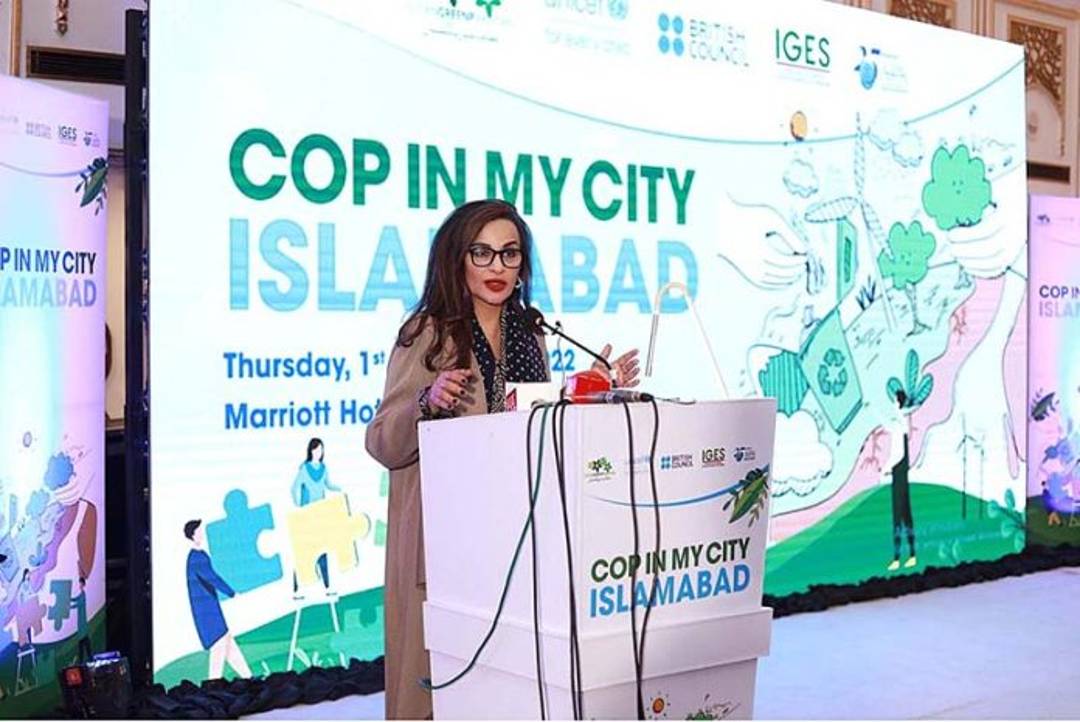 COP27 Geldi Çattı...