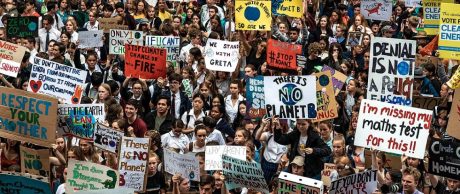 Dünyadaki En Önemli Çevre Örgütleri