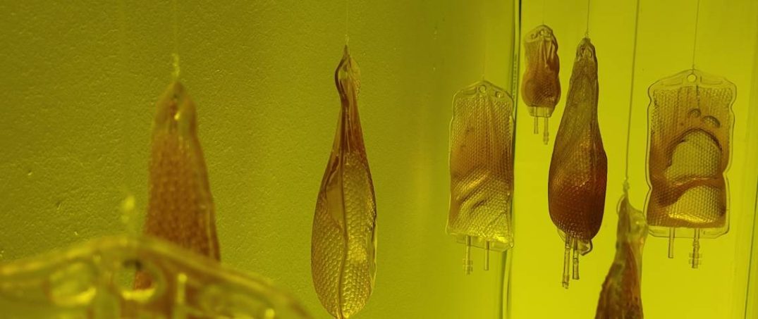 Bir Hayal Kırıklığından Doğan Sergi