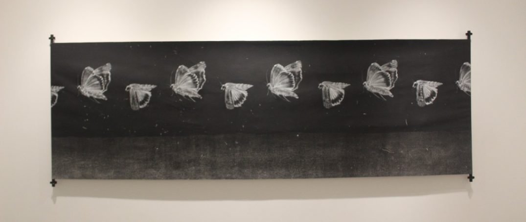 Gizli Bir Empati Sergisi | Kasa Galeri