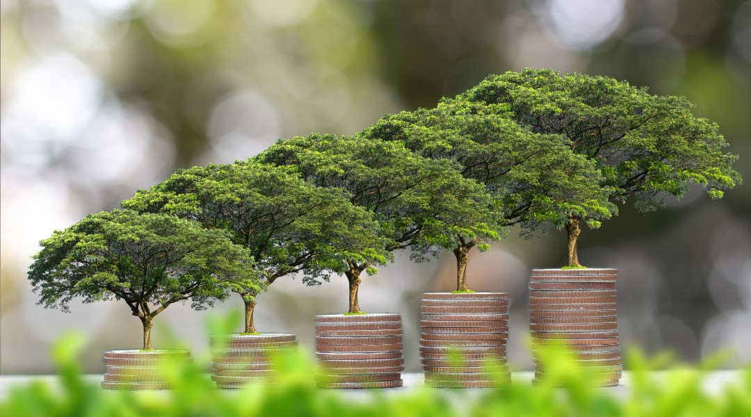 İklim Değişikliğiyle Mücadelede Umutlu Olmak İçin 5 Neden